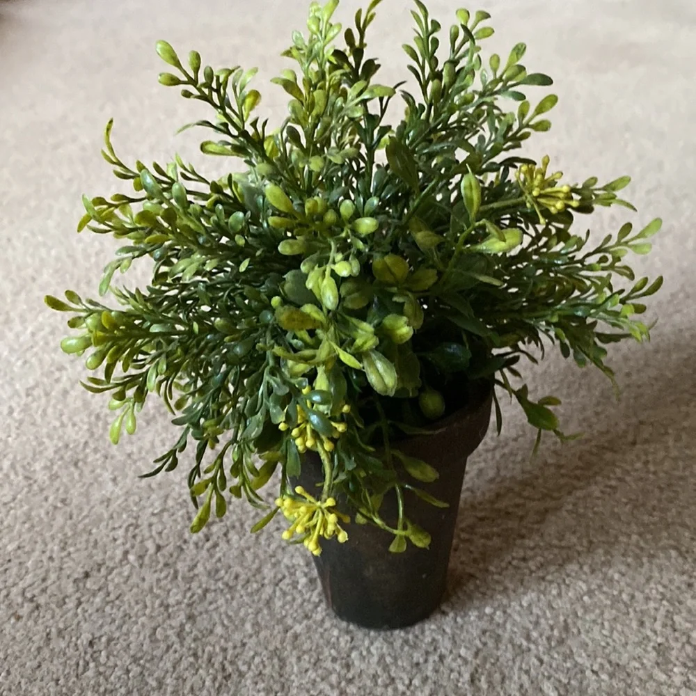 Potted Greenery